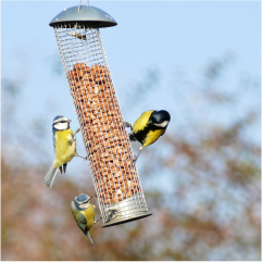 Comment installer une mangeoire oiseaux - Hello-birdy